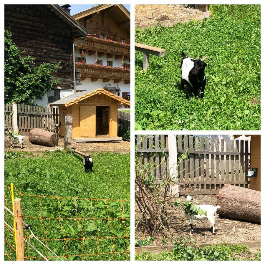 Obergrundhof Apartment Leogang Exterior foto